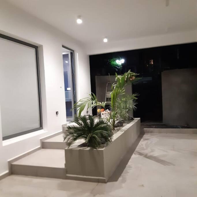 סנט-אן Palm Villas מראה חיצוני תמונה